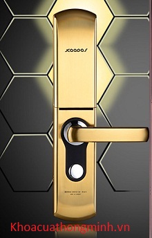 5 mẫu khóa cửa vân tay đáng để chọn nhất|Khóa cửa điện tử mới nhất